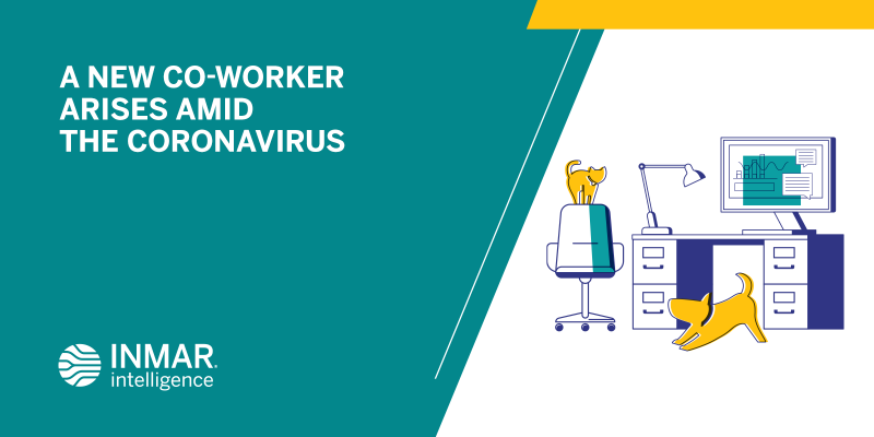 A New Co-Worker Arises Amid The Coronavirus
